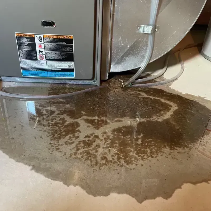 Appliance Leak Cleanup in Collinsville, IL